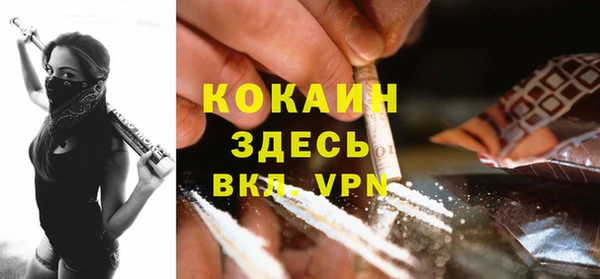PSILOCYBIN Верхний Тагил