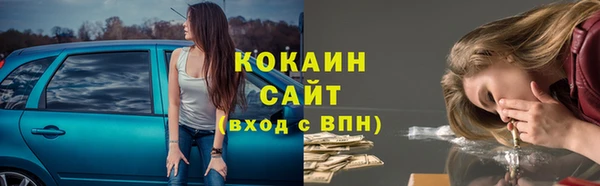 PSILOCYBIN Верхний Тагил