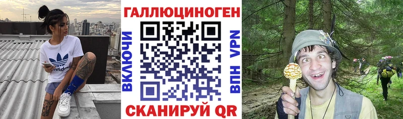 Псилоцибиновые грибы GOLDEN TEACHER  ссылка на мегу онион  Яхрома 